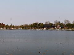 -上海海湾国家森林公园