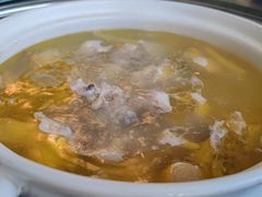 -先机泉水鸡汤(南山老君洞店)