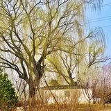 只是人太多就没有再去那边