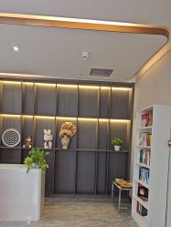 点击看大图 -碧莲盛·不剃发植发