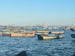 -海源公园