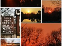 -西溪国家湿地公园