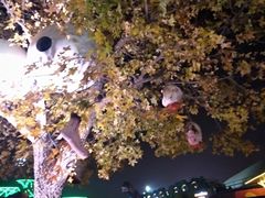 景点-北京欢乐谷