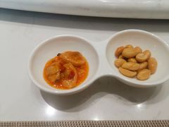 -丁老爷子苏香圆