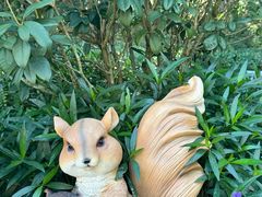 -云溪植物园