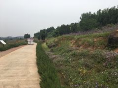 景点-中国香山·寿香谷