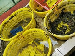 -红海湾豪记海鲜大排档