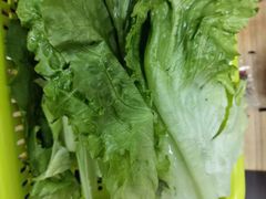 农家青菜-司马街鸡煲(西华路店)