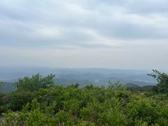 -鲁山国家森林公园