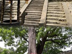 -少华山国家森林公园