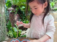 -正佳雨林生态植物园