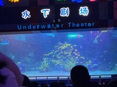 -泉城欧乐堡梦幻世界