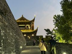 -吴越荣记·苏州菜·松鼠桂鱼(娄门景区店)