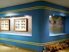 -上海昆虫博物馆