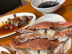 -金海湾海鲜排档(朱家尖店)