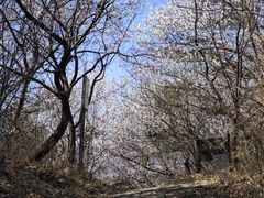 -云峰山自然风景区