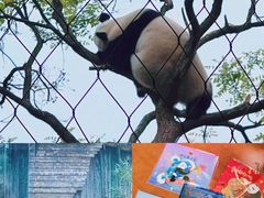 -北京动物园