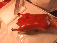 -秀儿四九城·新京菜(亚运村鸟巢店)