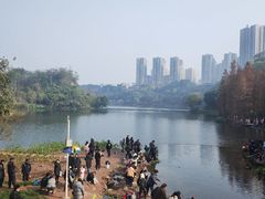 -重庆彩云湖湿地公园