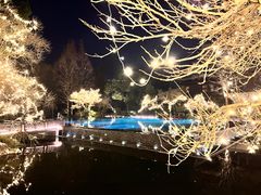 -杭州西子湖四季酒店-WL BISTRO西湖餐厅(灵隐路店)