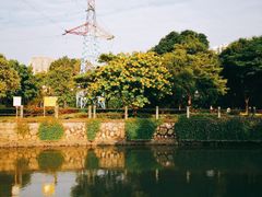 -晓港公园