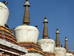 -塔尔寺