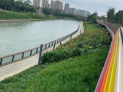 -府河摄影公园
