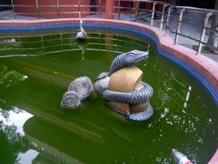 健康银蛇-龙泉岩寺庙群