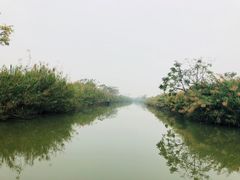 -大湾区中央湿地公园