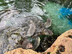 -广州海洋馆