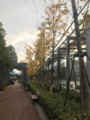 -海宁大脚板乐园