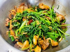 -九道菜有鸡鱼头(石鼓路店)
