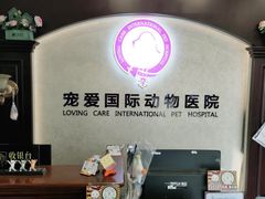 -宠爱国际动物医院·疑难骨科·心肾内科·皮肤科(太阳宫店)
