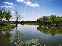 -东郊湿地公园
