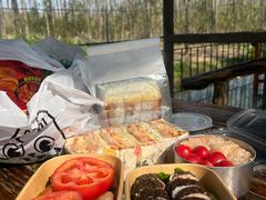 -合肥滨湖国家森林公园