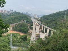 -阳台山森林公园