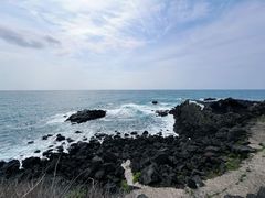 -涉地可支