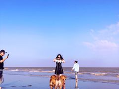 -南汇嘴观海公园