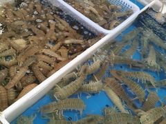 水产区-南沙十九涌渔人码头-南门