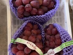 -马陆小张葡萄园农家乐