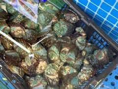 -晶渔坊·海鲜私房菜(东夷小镇店)