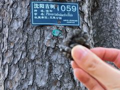 -北陵公园