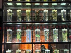 -广东中医药博物馆