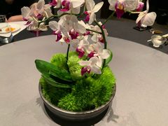 -许家菜(望江店)