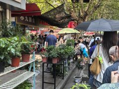 -汪记鲜鱼糊汤粉(沈阳路总店)