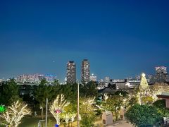 -台场海滨公园船码头
