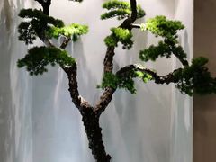 -春天来了(印象新天地店)