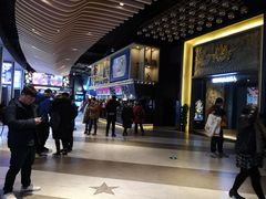 -新影联·华谊兄弟影院(望京店)
