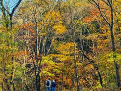 -玉渡山自然风景区
