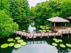 -上海滨江森林公园